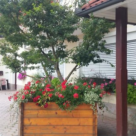 Darja Guesthouse Dob Zewnętrze zdjęcie