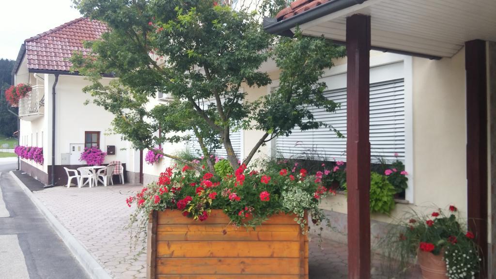 Darja Guesthouse Dob Zewnętrze zdjęcie