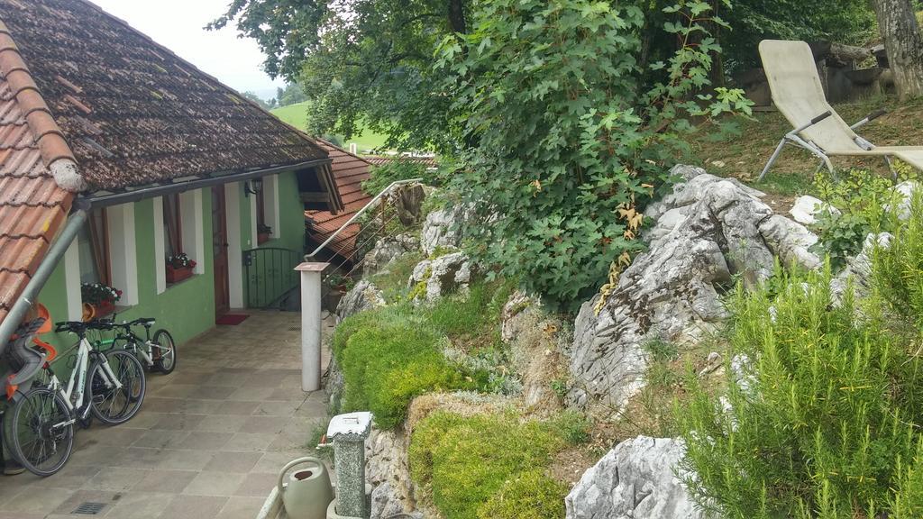 Darja Guesthouse Dob Zewnętrze zdjęcie